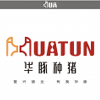 湖南华豚种猪