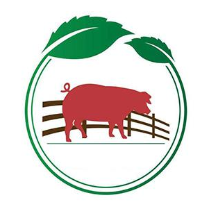安徽大自然种猪