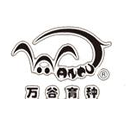 上海万谷种猪
