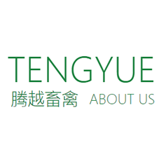 河北腾越畜禽