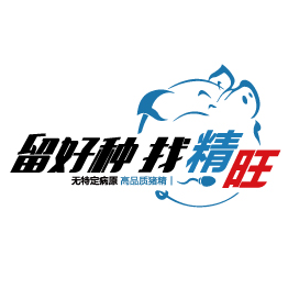 河南精旺种猪