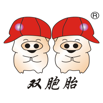 双胞胎集团