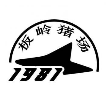 广东板岭种猪