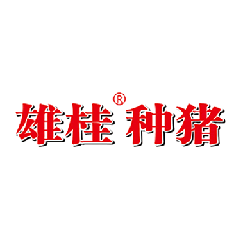 广西雄桂种猪