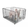 Piglet Care Equipment