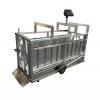 Pig Platform Scales