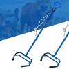 Cattle Obstetric Instruments