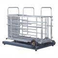 YD-06畜牧秤 - SHEWUYOU Livestock Equipment