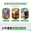 倍特双牛用灌服 - SHEWUYOU Livestock Equipment
