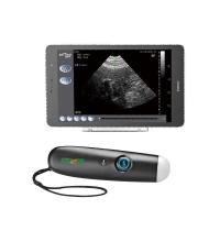 Portable Vet Ultrasound Scanners