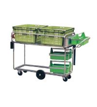 Piglet Handling Transport 