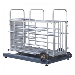 YD-06 Livestock Platform Scale for Pig Farms - SHEWUYOU Livestock Equipment