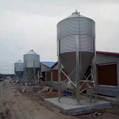 Hot-Dip Galvanized Feed Silo | Bulk Feed Storage Bin - SHEWUYOU Livestock Equipment