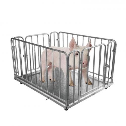 Piglet Electronic Platform Scale - SHEWUYOU Livestock Equipment