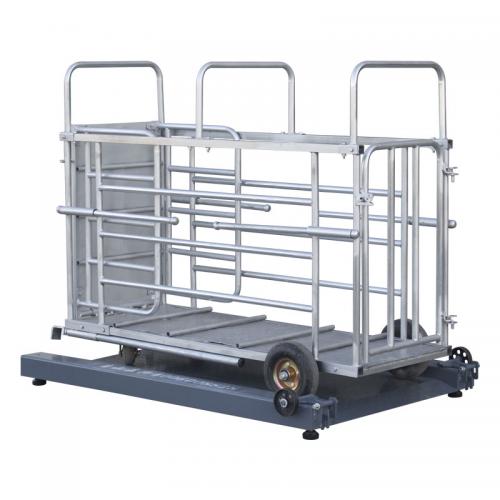 YD-06 Livestock Platform Scale for Pig Farms - SHEWUYOU Livestock Equipment