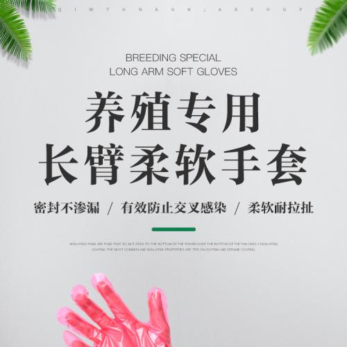 Disposable 80cm Long Arm Veterinary Gloves for Cattle - SHEWUYOU Livestock Equipment