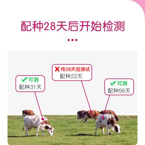 Bovine PAG Early Pregnancy Rapid Test Cassette - SHEWUYOU Livestock Equipment