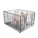 Piglet Weighing Equipment