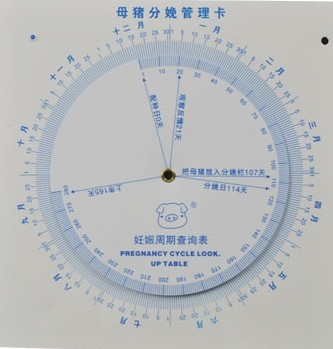 妊娠周期表