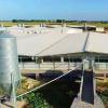 Steel Structure Pig Houses