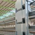 仔鸡笼 - SHEWUYOU Livestock Equipment