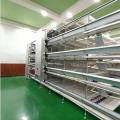 层叠式蛋鸡笼 - SHEWUYOU Livestock Equipment