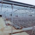 钢结构猪舍 - SHEWUYOU Livestock Equipment