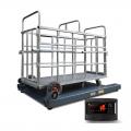 可移动畜牧秤 - SHEWUYOU Livestock Equipment