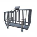 犊牛秤 - SHEWUYOU Livestock Equipment