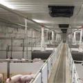 四面进风窗 - SHEWUYOU Livestock Equipment