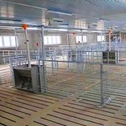 Fattening pen - SHEWUYOU Livestock Equipment