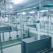 Nursery Pen  - SHEWUYOU Livestock Equipment