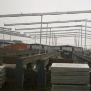 Steel Structure Pig House for Modern Commercial Pig Farming - SHEWUYOU Livestock Equipment