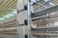 Chick Cages
