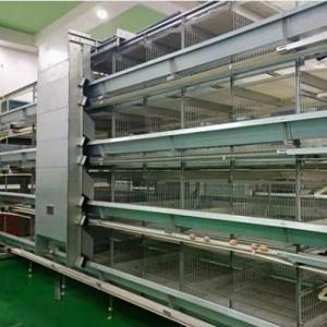 Commercial Layer Chicken Cage System - SHEWUYOU Livestock Equipment