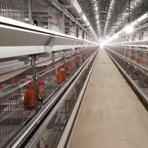 Automatic Chick Brooding Cage System - SHEWUYOU Livestock Equipment