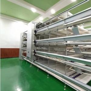 Automatic H-Type Layer Cage System - SHEWUYOU Livestock Equipment