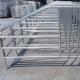 Sow Gestation Stalls