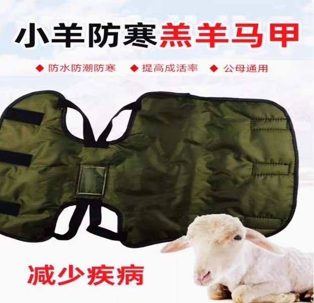 羊羔马甲