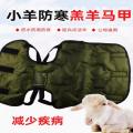 羊羔马甲 - SHEWUYOU Livestock Equipment