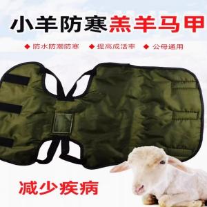 Waterproof Newborn Lamb Warming Jacket - SHEWUYOU Livestock Equipment