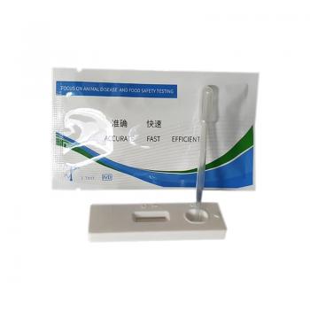 羊早孕检测试纸