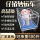 Piglet Handling Transport 