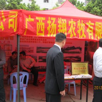 2012年3月 广西南宁壮乡养猪节