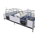 分娩栏 - SHEWUYOU Livestock Equipment