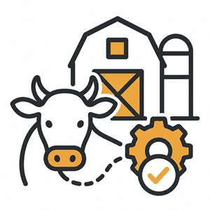 Beef Cattle Farm Solutions