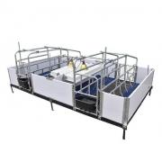 Sow Farrowing Crate - SHEWUYOU Livestock Equipment