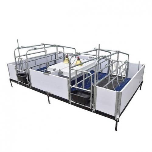 Sow Farrowing Crate - SHEWUYOU Livestock Equipment