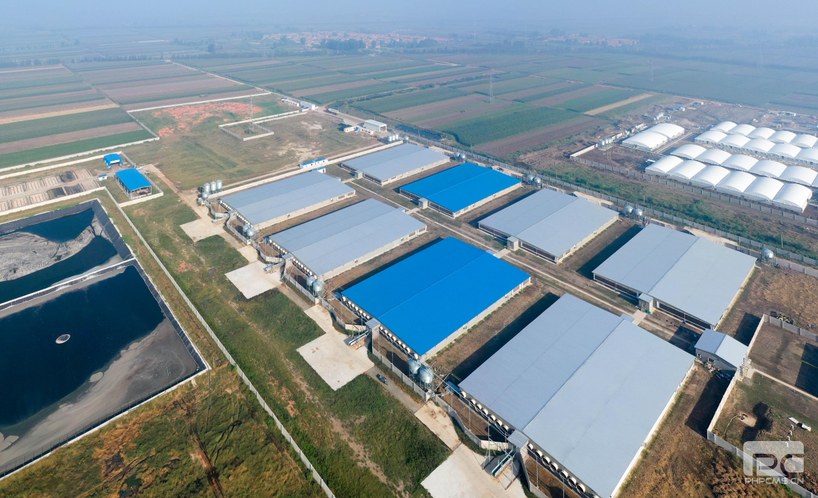 Light Steel Structure Pig House
