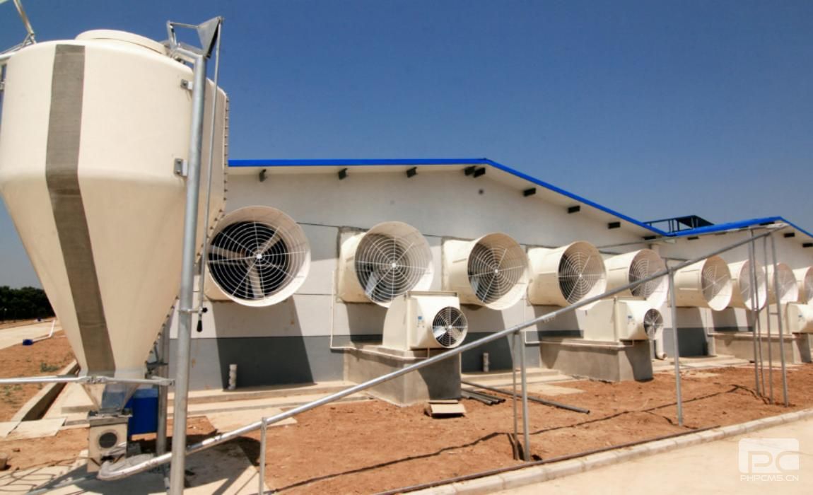 Steel Structure Fattening Pig Farm Exterior